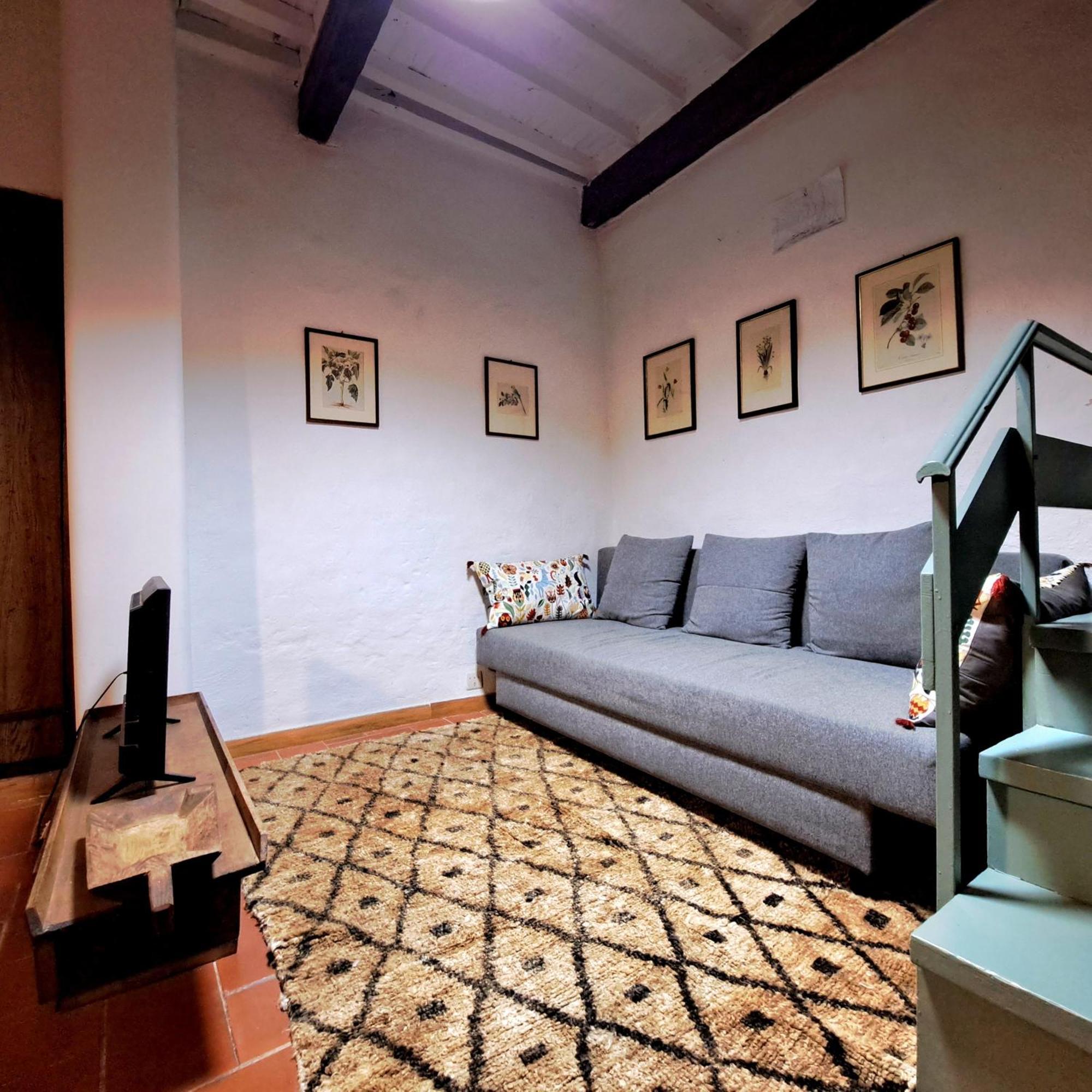 דירות Seggiano Antica Abitazione Con Vista Montagna Casa Norma מראה חיצוני תמונה