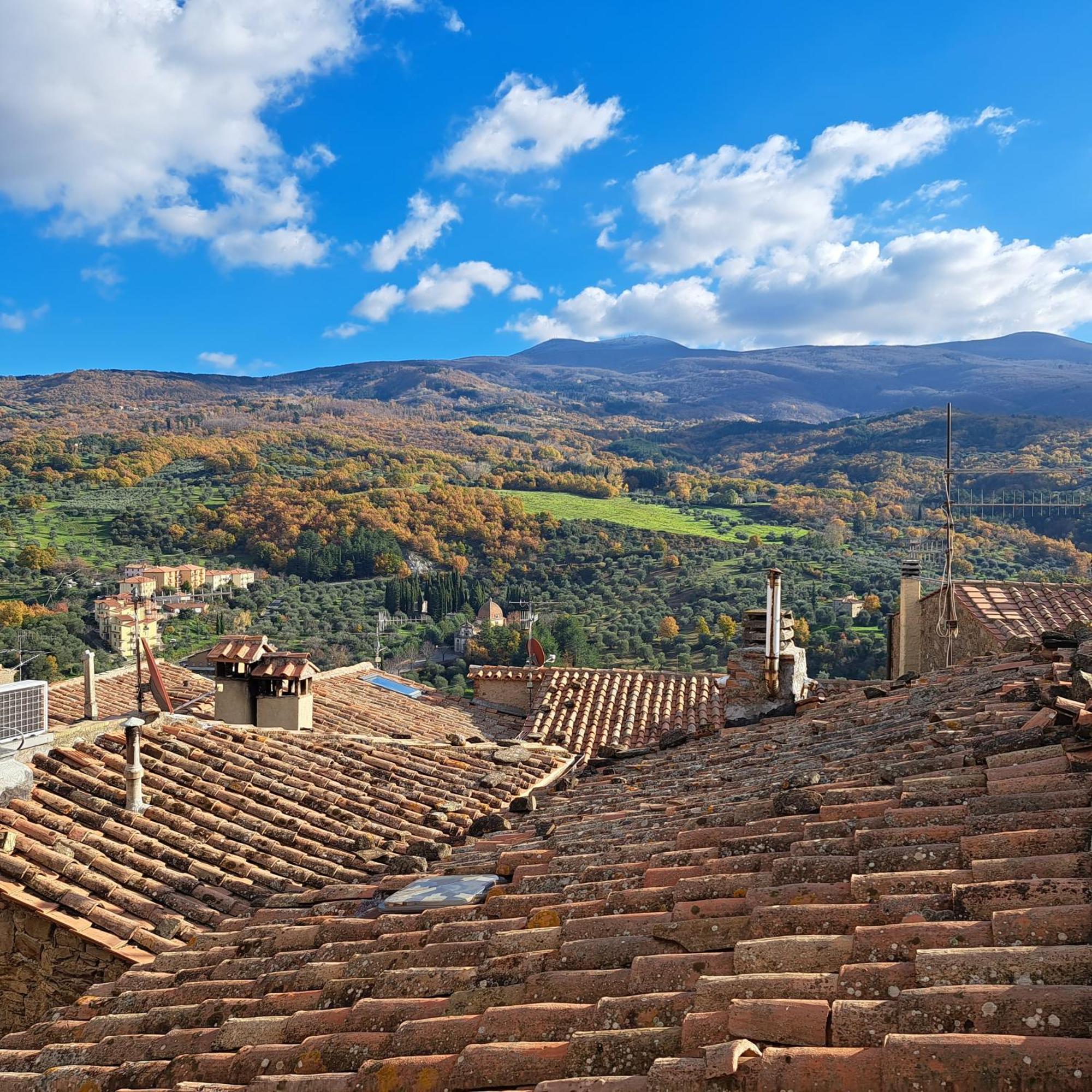 דירות Seggiano Antica Abitazione Con Vista Montagna Casa Norma מראה חיצוני תמונה